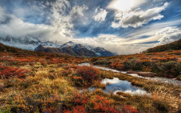 paesaggio, foresta, montagne, collina, autunno, lago