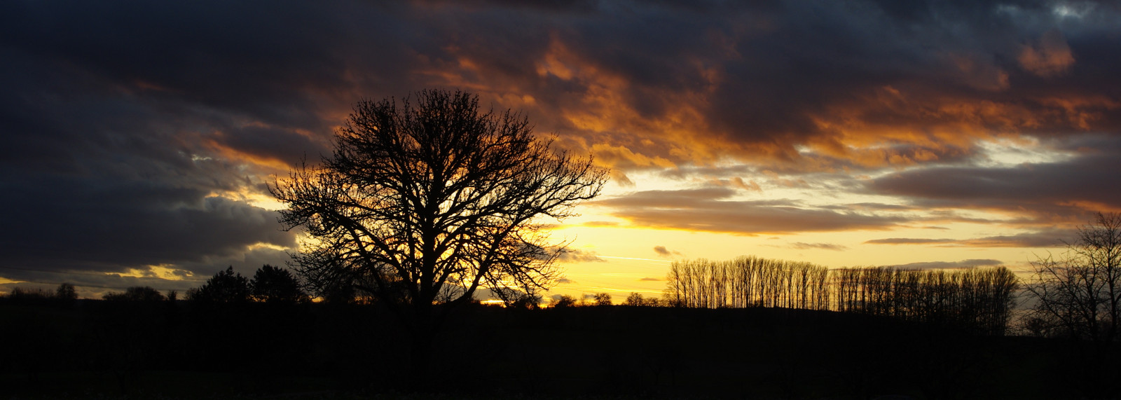 stromy, západ slunce, panoráma, sonnenuntergang, 1001nights, Baume, Soe, OTW, Béžová, abigfave, Goldenbee, colorphotoaward, theunforgettablepictures, concordians, goldstaraward, thesuperbmasterpiece, 100commentgroup, artofimages, saariysqualitypictures, updatecollection, mygearandmepremium, mygearandmebronze, mygearandmesilver, mygearandmegold, mygearandmeplatinum, mygearandmediamond