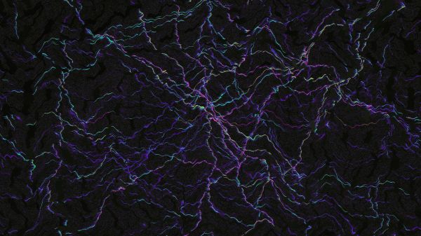 purple,ART,electric blue,violet,plant,pattern