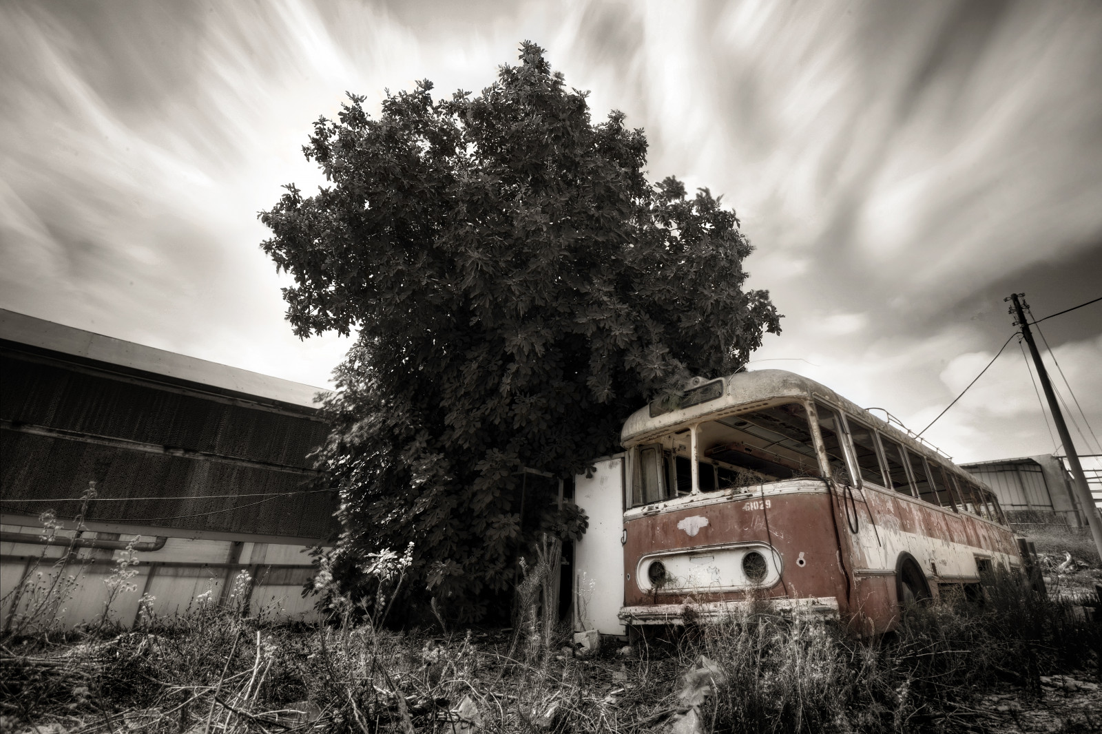เก่า, ความยาวนาน, ท้องฟ้า, bw, สีขาว, Motion, ดำ, รถเมล์, ต้นไม้, ศิลปะ, ถูกทอดทิ้ง, ธรรมชาติ, สถานี, เมฆ, สุดท้าย, ถังขยะ, เหล้าองุ่น, อิสราเอล, การย้าย, ขยะ, ยาว, การเปิดรับ, ย้อนยุค, nd, monochrom, ซาก, เรื่องที่สนใจ, HDR, 1000, เลย์แลนด์, ความสมจริง, urbex, hyperrealism, nd110