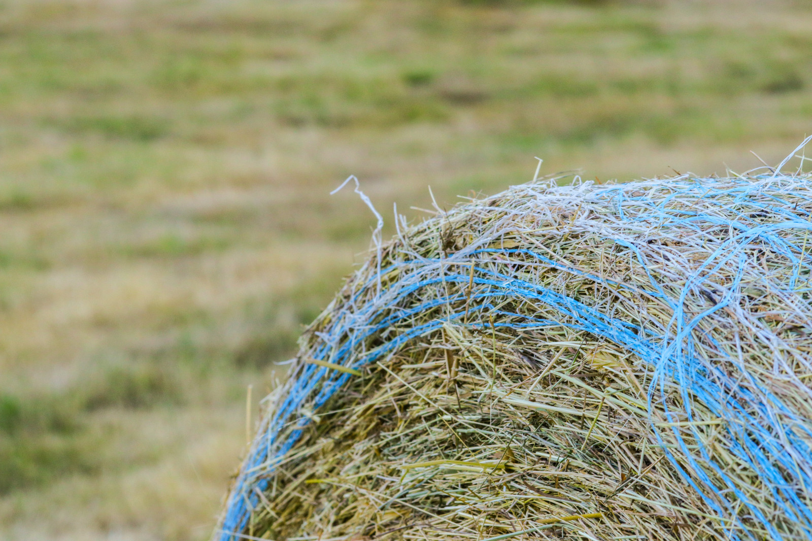 Wallpaper : 6000x4000 px, blue, farm, hay 6000x4000 - wallbase