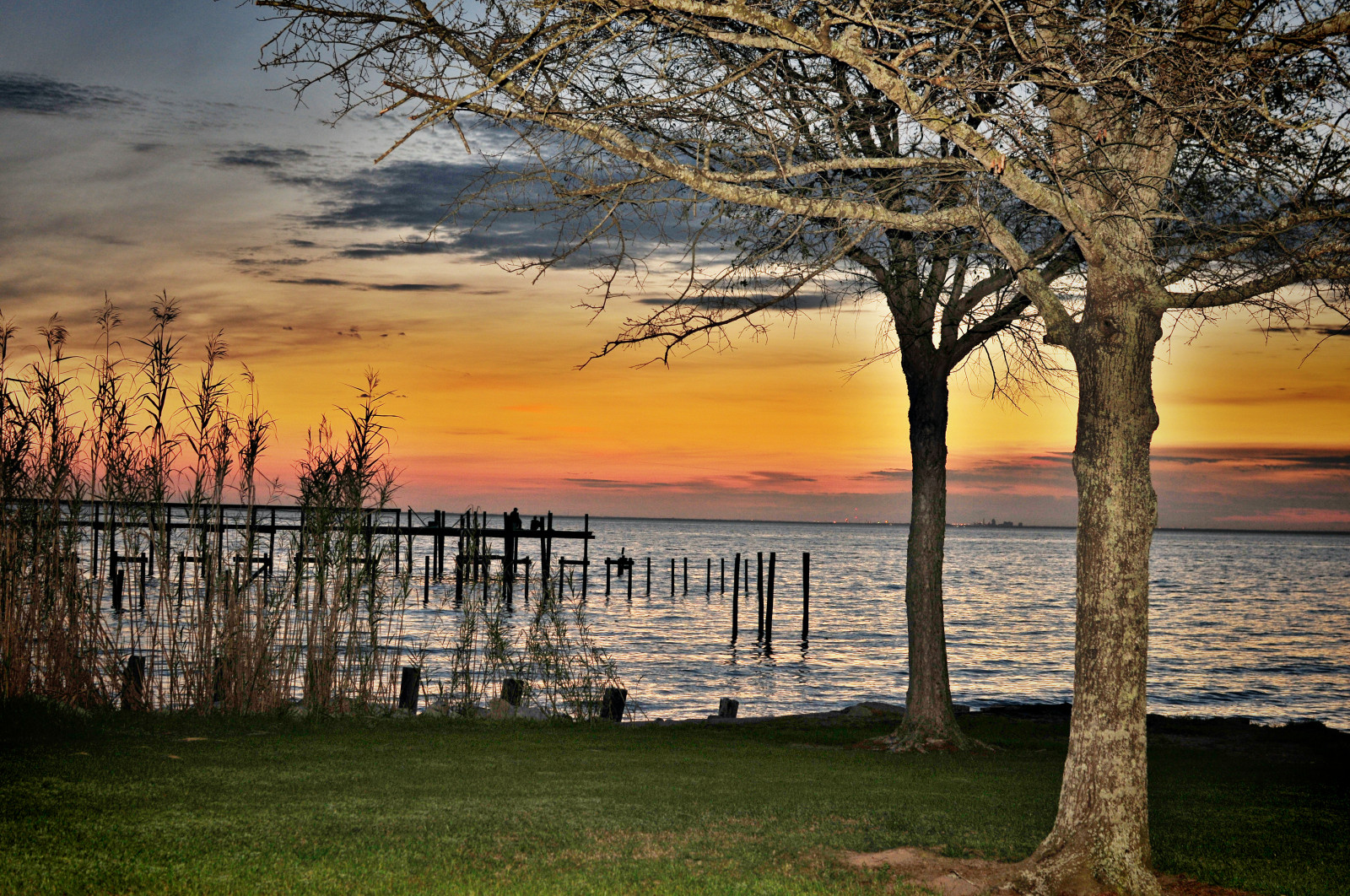 sollys, landskab, solnedgang, hav, sø, vand, natur, kyst, afspejling, græs, himmel, strand, afdeling, solopgang, aften, morgen, horisont, Nikon, mole, skumring, forår, Bank, vådområde, Sky, træ, daggry, plante, mygearandme, bølge, vr, SB800, Gulfcoast, grønt græs, goldencolor