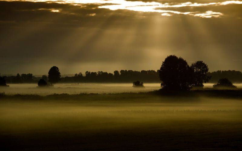 sunlight, trees, landscape, sunset, night, lake sunlight, trees, landscape, sunset, night, lake