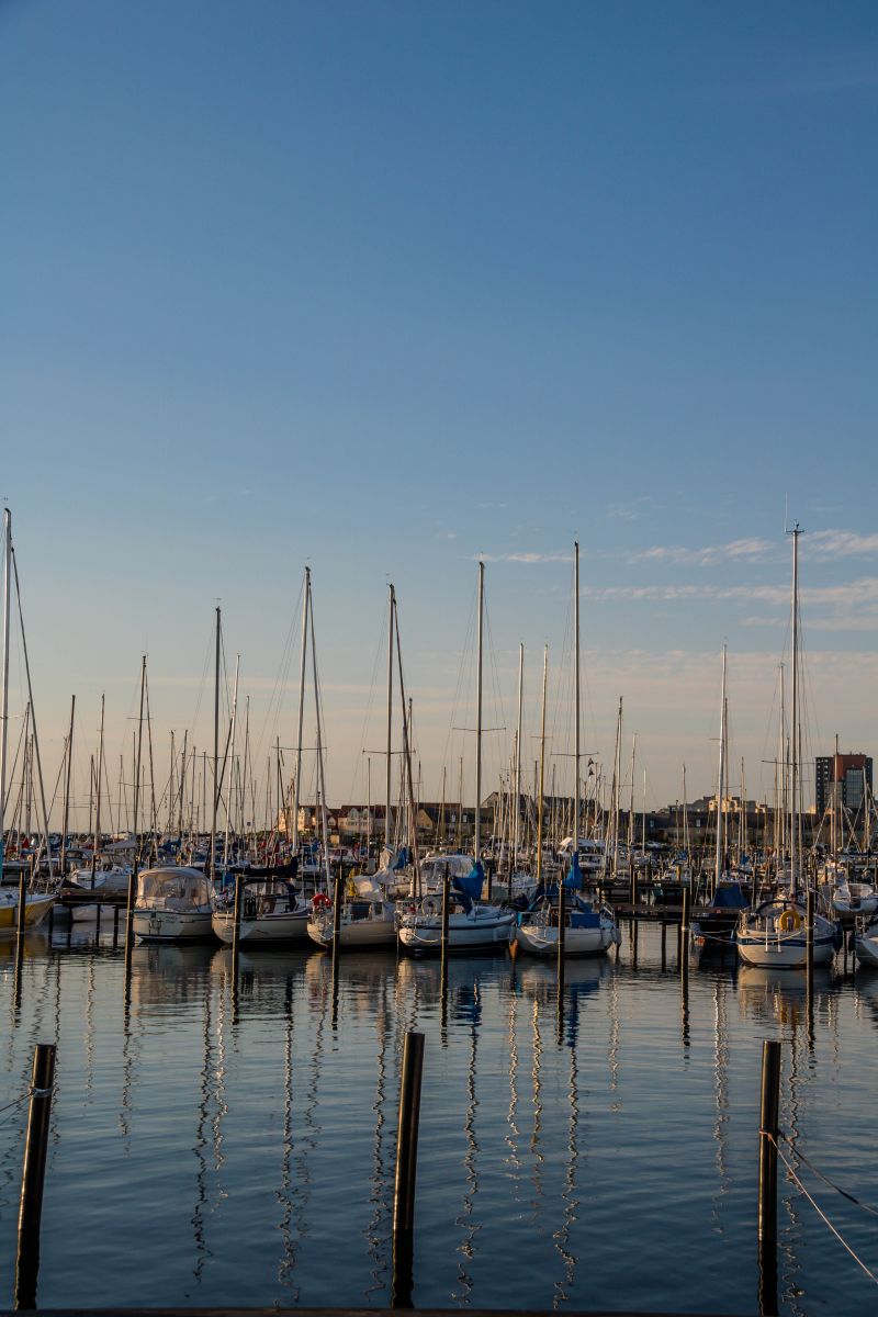 보트,바다,만,물,반사,차량