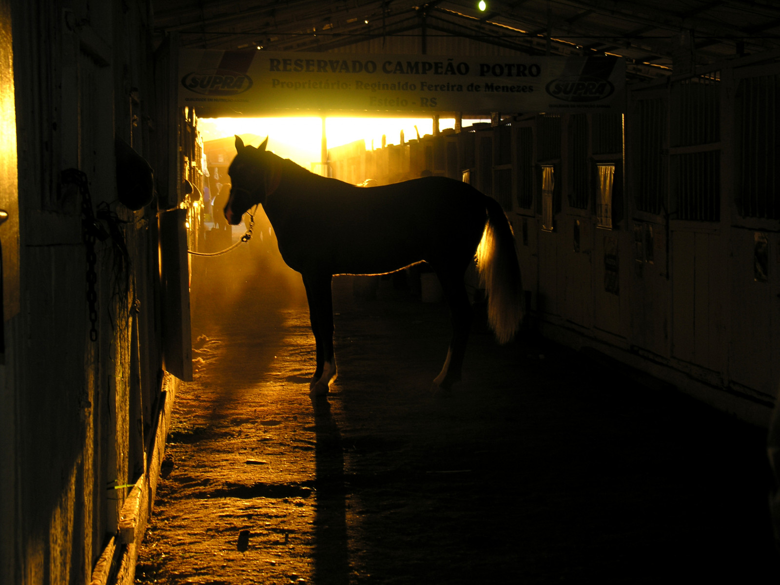 Wallpaper night, evening, stable, 2006, light, lighting, darkness