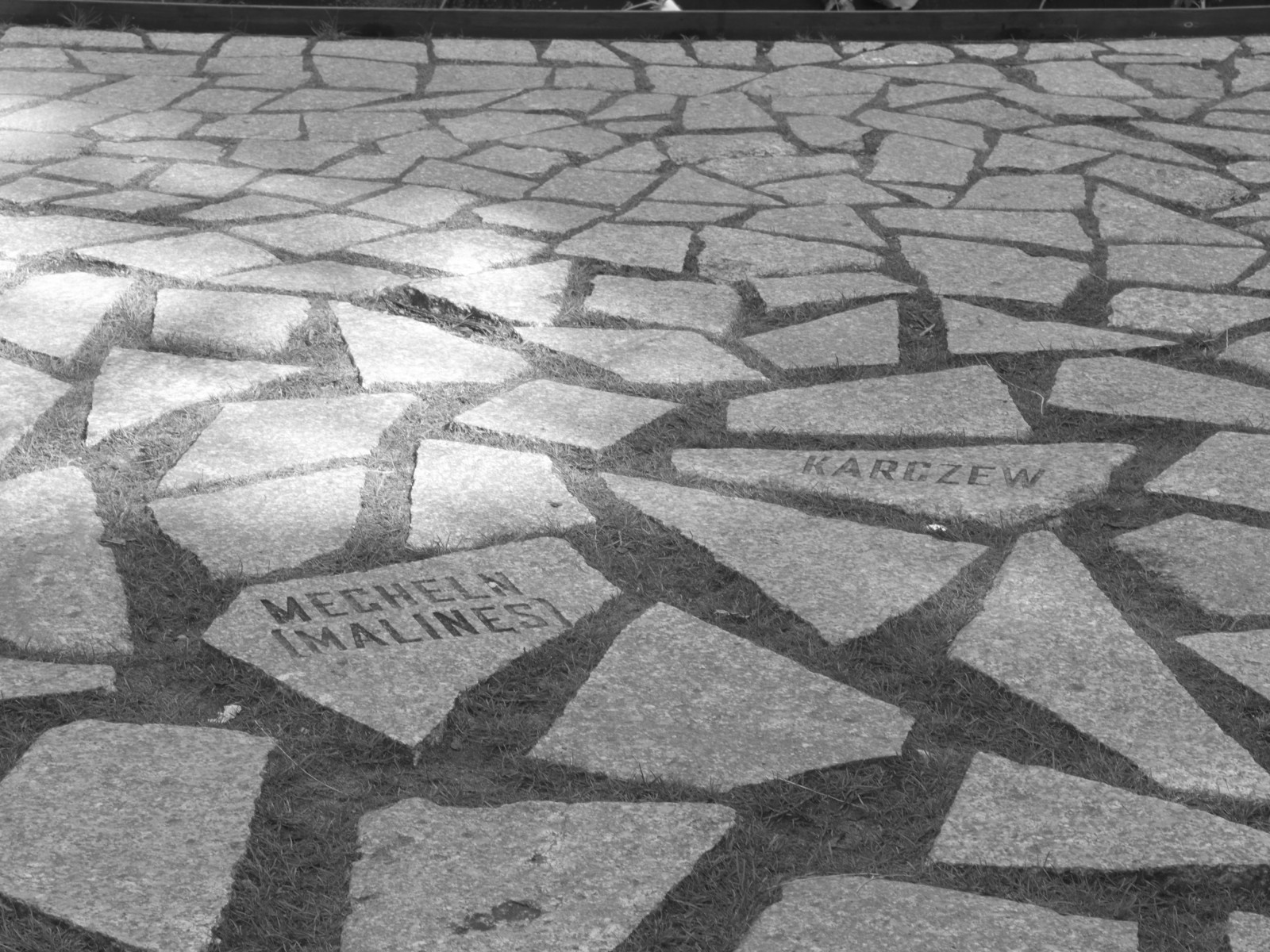 show, ulice, Fotoaparát, Nový, Leica, město, výlet, cestovat, květiny, Přátelé, světlo, západ slunce, oslava, dovolená, portrét, lidé, městský, Černý a bílý, tělesné, test, žena, bílý, Dovolená, peníze, Černá, horký, květ, makro, Berlín, film, Příroda, dívka, móda, festival, architektura, noc, Kánon, Německo, zahrada, náměstí, krajina, zábava, deutschland, fotografování, vidět, fotografie, zajímavost, Vyhledávání, zajímavý, koncert, Nikon, flickr, fotky, upřímný, slavný, koťata, nejlepší, Panasonic, profesionální, prozkoumat, většina, squareformat, Alemania, oblíbený, HDR, GF1, nádherný svět, iphoneografie, Instagram