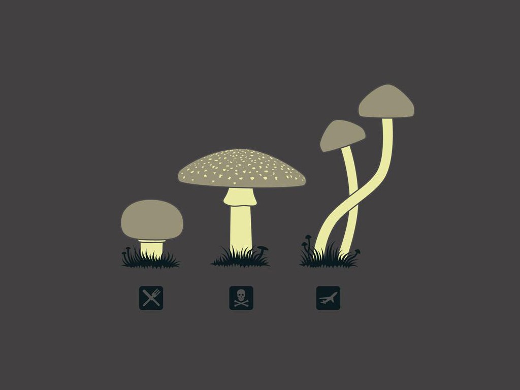 illustration, mad, tekst, logo, champignon, tegneserie, død, mærke, stoffer, skrifttype