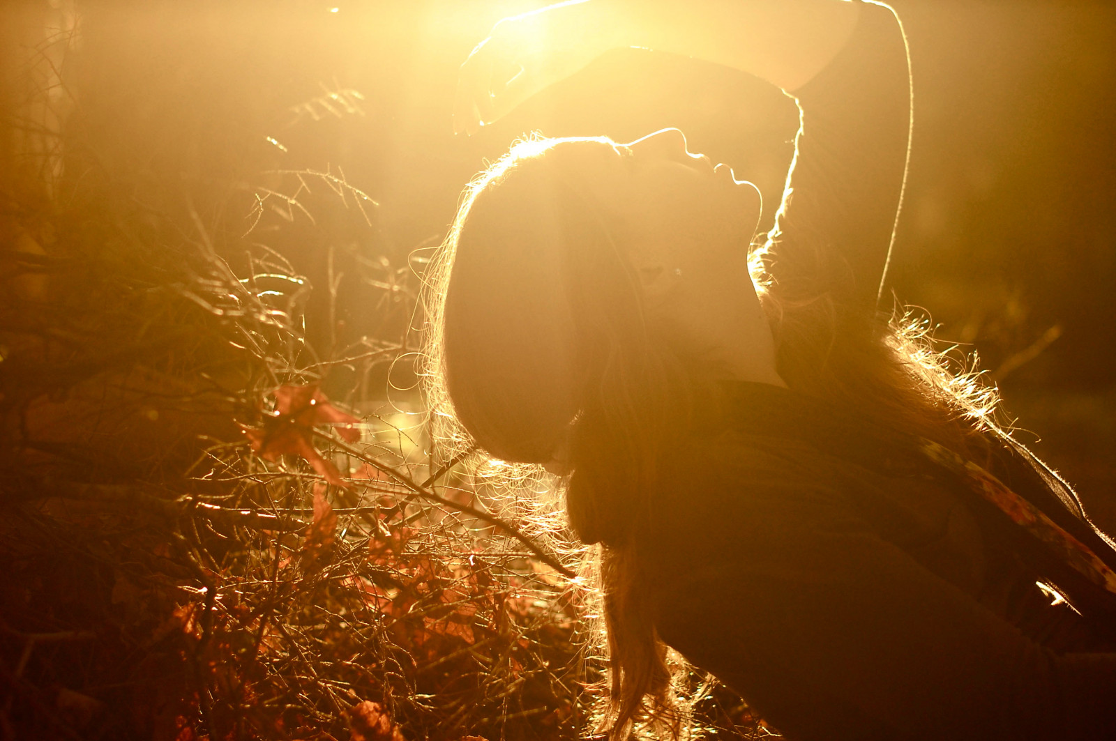 slunce, světlo, slunečnímu záření, nebe, ráno, atmosféra, podsvícení, večer, počítač tapeta, stock photography, tma, makro fotografie, větev, tráva