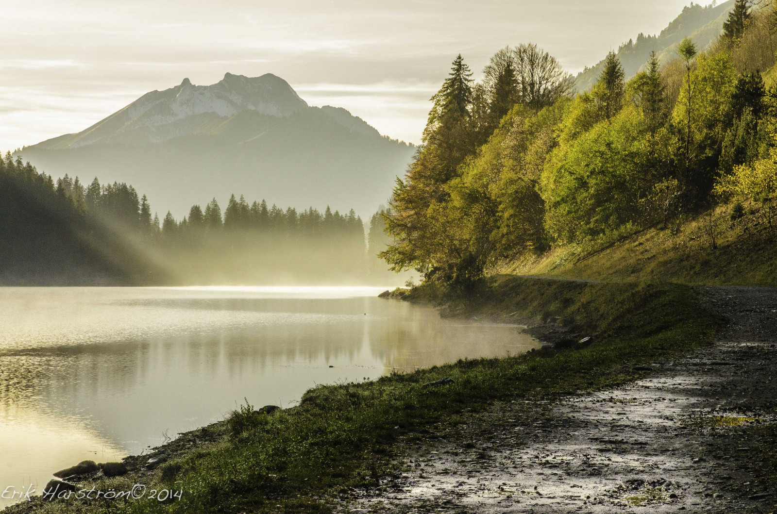 luce del sole, paesaggio, collina, lago, acqua, natura, riflessione, Alba, mattina, nebbia, fiume, valle, Francia, natura selvaggia, 2014, nube, albero, autunno, foglia, montagna, stagione, lac, serbatoio, Alta Savoia, Fabuleuse, octobre, lakescape, lago, area rurale, fenomeno atmosferico, morfologie montane, corpo d'acqua, catena montuosa, nealpes rh, Montriond, erikharstrom