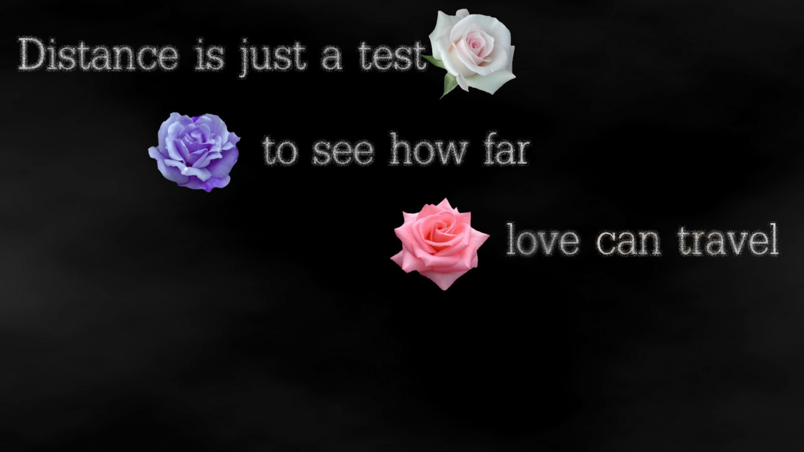 Wallpaper quote, pink, brand, flower, plant, petal, jewellery