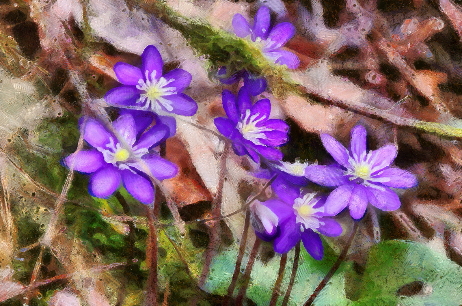 Photoshop, nachový, jaro, Estonsko, květ, umělecký, rostlina, flóra, digitální, hepatica, tvořivý, viola, photomanipulation, postprocessed, PhotoArt, malířské, divoká rostlina, kvetoucí rostlina, digiart, ON1, fialová rodina, kalevvask, vklouznout do vody, zvonek rodina, bylina