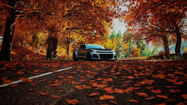 chevrolet camaro zl1 1le, Camaro, Chevy, Forza Horizon 4, car, video games
