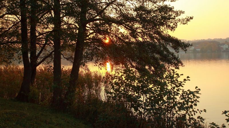 slunečnímu záření, krajina, les, západ slunce, Příroda, větev slunečnímu záření, krajina, les, západ slunce, Příroda, větev