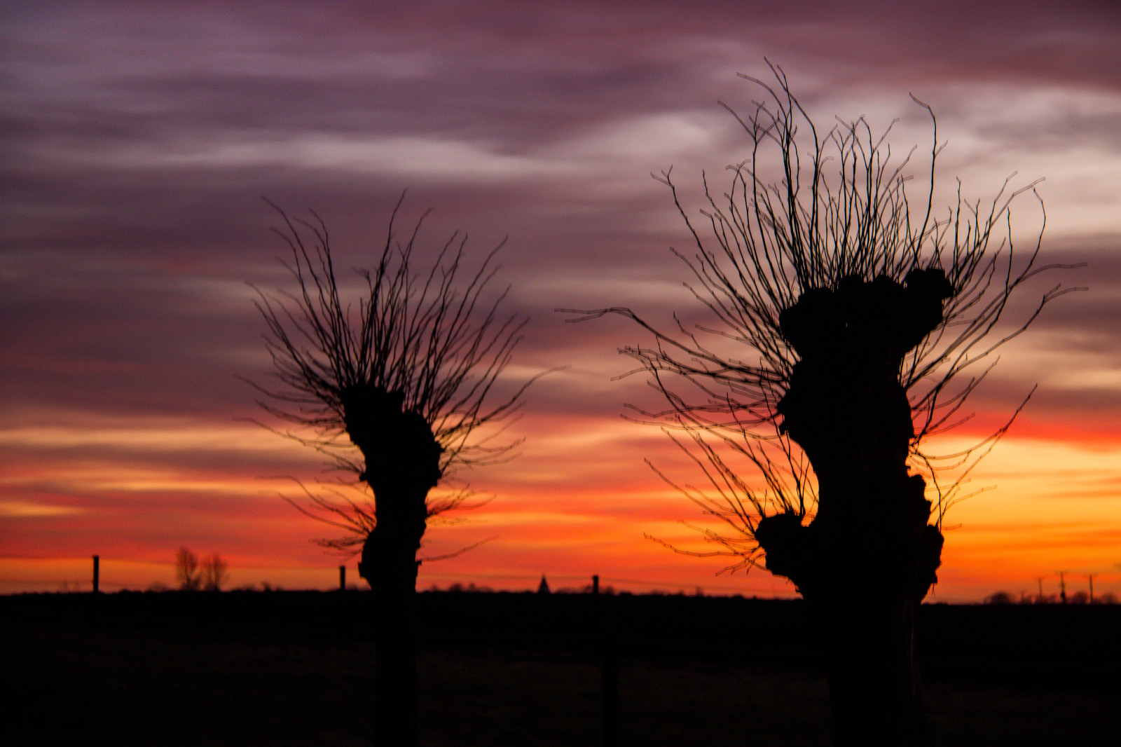 luce del sole, tramonto, natura, cielo, campo, silhouette, nuvole, Alba, sera, mattina, Sole, orizzonte, atmosfera, crepuscolo, nube, albero, alba, himmel, solnedg ng, tr d, moln, skymning, prateria, fenomeno atmosferico, ultimi bagliori, cielo rosso al mattino, savana