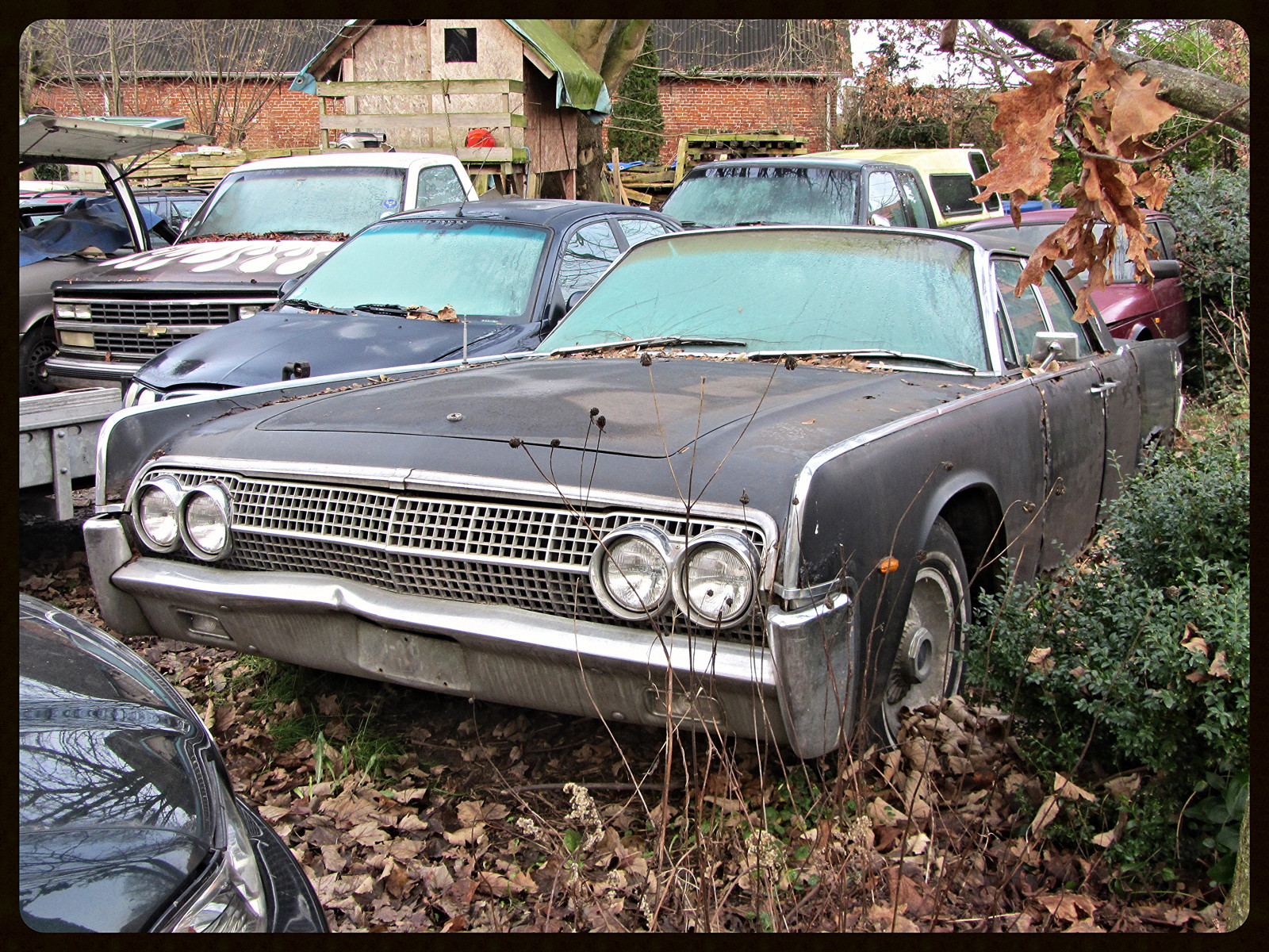 Lincoln, Kontinentální, 1963, Německo, deutschland, Německo, Niedersachsen, Bremerhaven, pkw, voiture, auto, Wagen, worldcars, auto, automobil, automotive, starý, Oldtimer, staré auto, Klassik, klasický, kolektor, vrak, mořské chaluhy, rezavý, rozklad, opuštěný, šrot, Schrott, vrakoviště, haraburdí, skládka, EPAVE, urbex, opuštěný