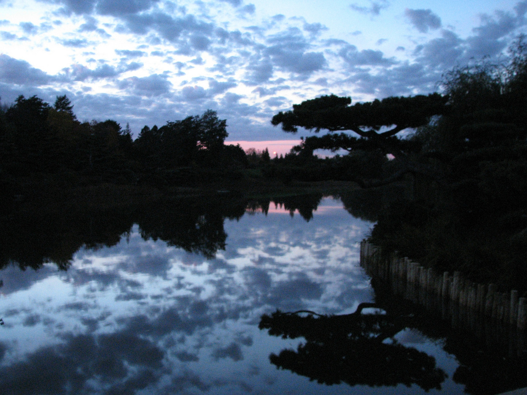 slunečnímu záření, stromy, krajina, západ slunce, jezero, voda, Příroda, milovat, odraz, nebe, uklidnit, modrý, večer, ráno, řeka, horizont, Radost, atmosféra, rybník, Dovolená, soumrak, banka, mír, Lake District, mokřadní, mrak, strom, bluehour, svítání, rostlina, siluety, odrazy, vodní tok, nádrž, bayou, jezero, meteorologický jev, jev, vstupní, chicagobotanicgarden, japanesegarden, vodní zdroje, dobré zdraví, Glencoeillinois, Myšlení dnešního dne, Ztráceně4krát za rok, Stillmisshimso, Myšlení všechno, co se stalo v roce 2014, Doufám, že to bude v budoucnu2015, Happynewyeartousall, Naději na radost a radost, A zdraví, Kůže a kůže