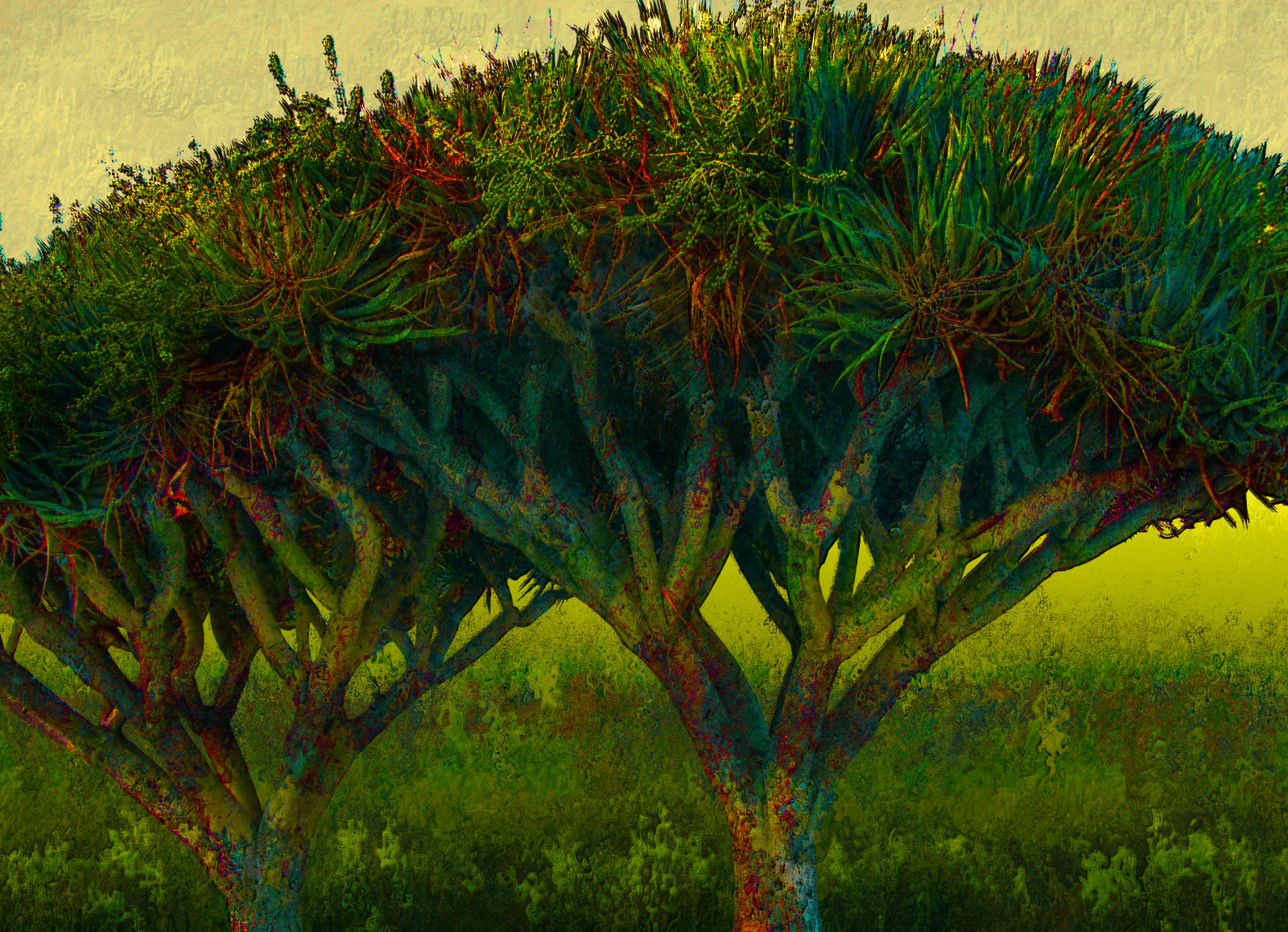 photomanipulation, digitální umění, PhotoArt, Digitálně vyvážené, Digitalmagic, Bethrosengard