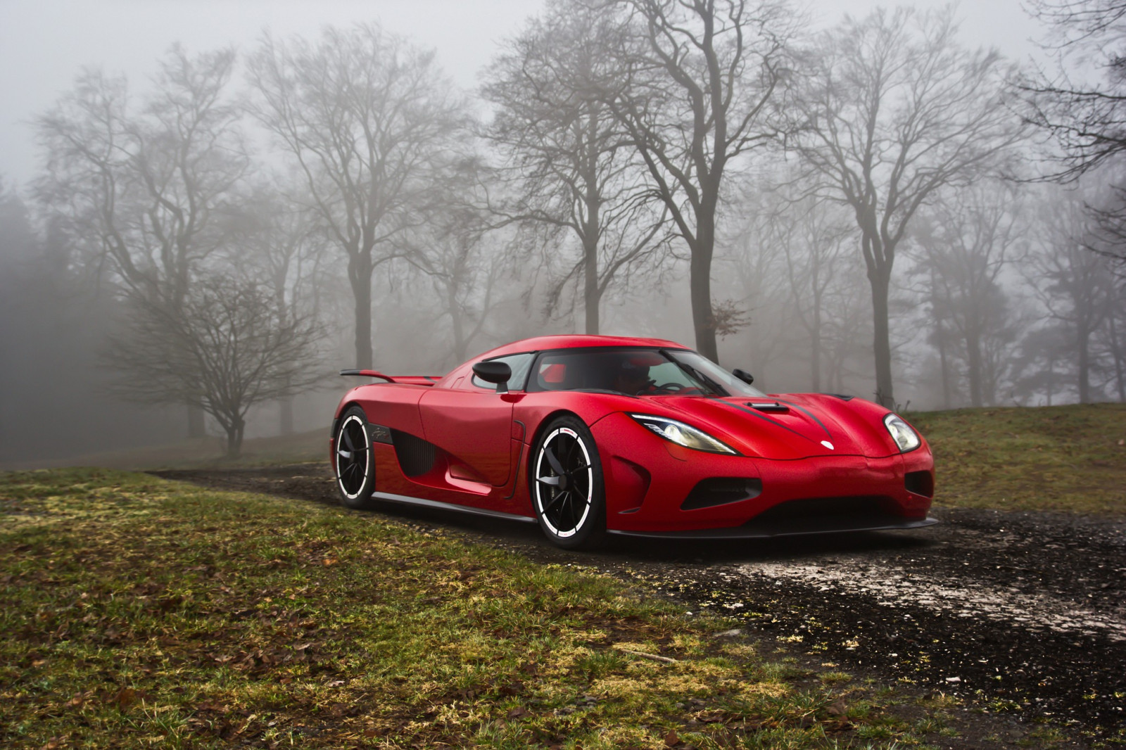 stromy, auto, vozidlo, silnice, sportovní auto, Koenigsegg Agera, Koenigsegg, peníze, výkon auta, Enzo Ferrari, superauto, pozemní vozidla, automobilového designu, závodní auto, automobil make, luxusní vůz
