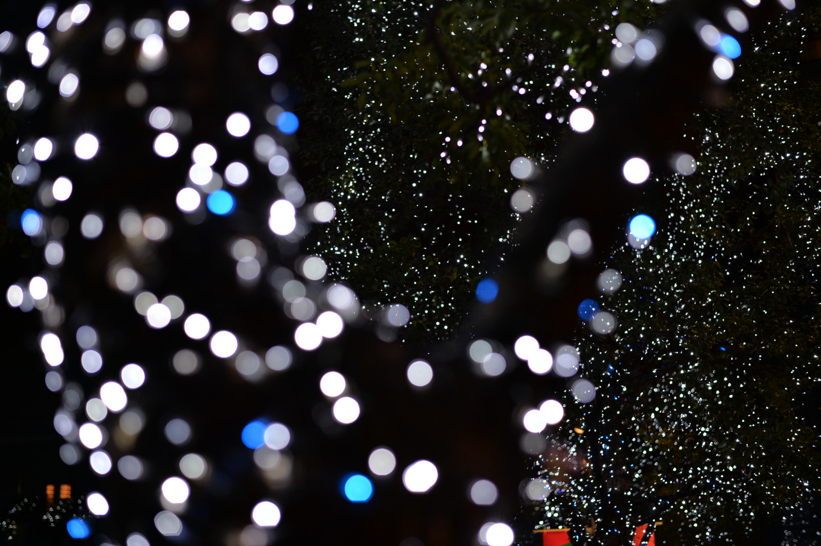 Japonsko, slunečnímu záření, noc, odraz, větev, modrý, kruh, Nikon, Tokio, jp, světlo, NIKKOR, osvětlené, pokles, osvětlení, tma, df, Roppongi, keyakizaka, afs58mmf14g, afsnikkor58mmf14g, osvětlit, vánoční dekorace, makro fotografie