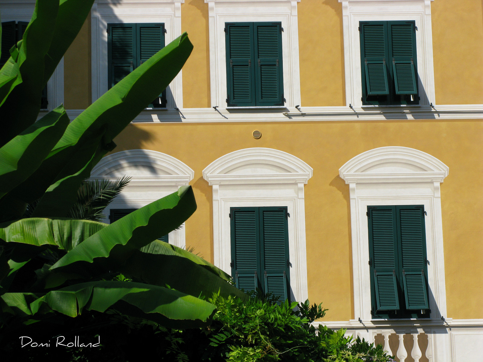 žlutá, Kánon, Evropa, Italia, couleurs, vert, maison, blanc, italie, Rocco, feuille, Recco, 2011, G9