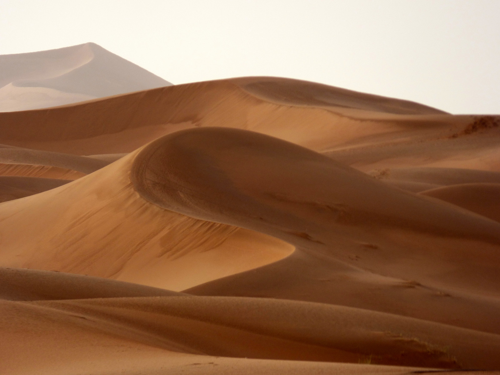 světlo, Sahara, krajina, písek, poušť, Lumiere, duna, sobol, Morroco, maroc, paysage, Merzouga