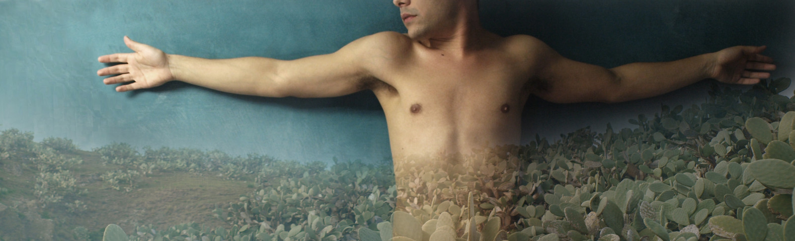 London, græs, blå, hud, nøgen, Blu, 2014, dreng, mand, cielo, han-, muskel, hals, arm, azzurro, sogno, bryst, Sicilia, bagagerum, uomo, Passione, Verga, febbraio, barechestedness, Abbraccio, Crocifisso, fichidindia, Vizzini, Neffa, del på