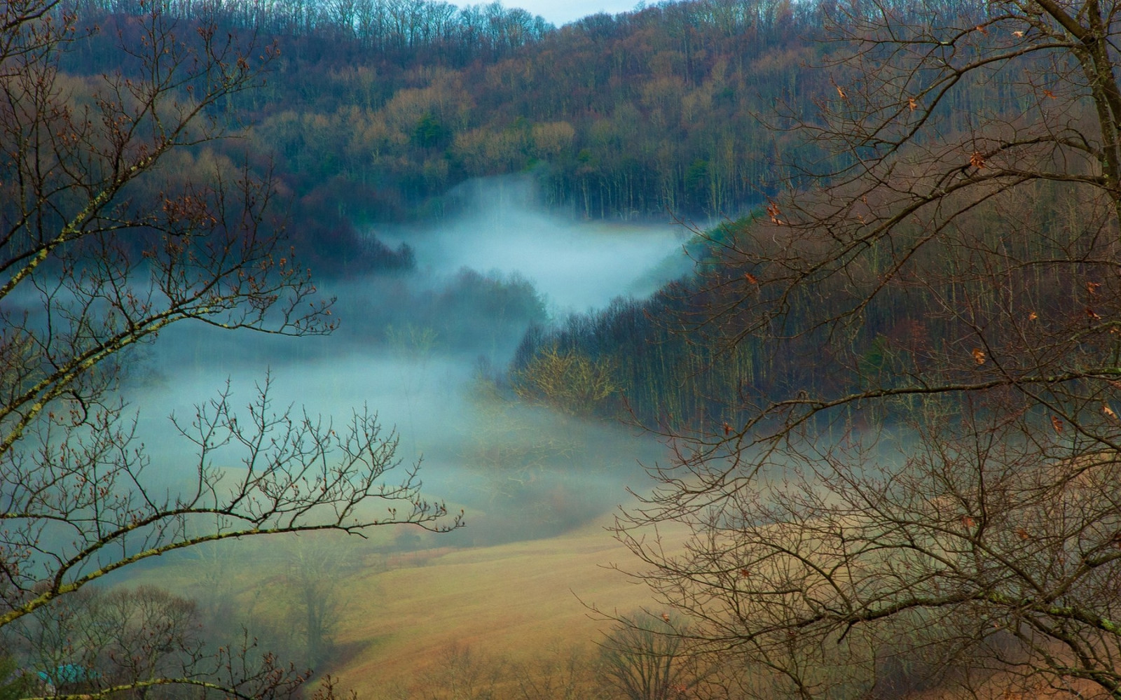 stromy, krajina, les, podzim, jezero, Příroda, odraz, větev, ráno, mlha, řeka, divočina, denní světlo, strom, podzim, mlha, list, hora, svítání, sezóna, zálesí, jezero, místo výskytu, přírodní prostředí, atmosférický jev