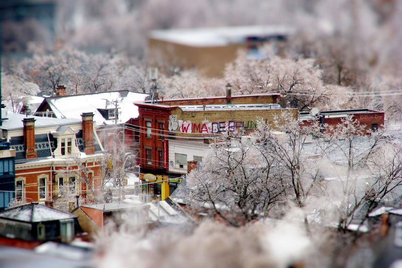 sníh, zima, strom, zmrazení, obytný prostor, Dům