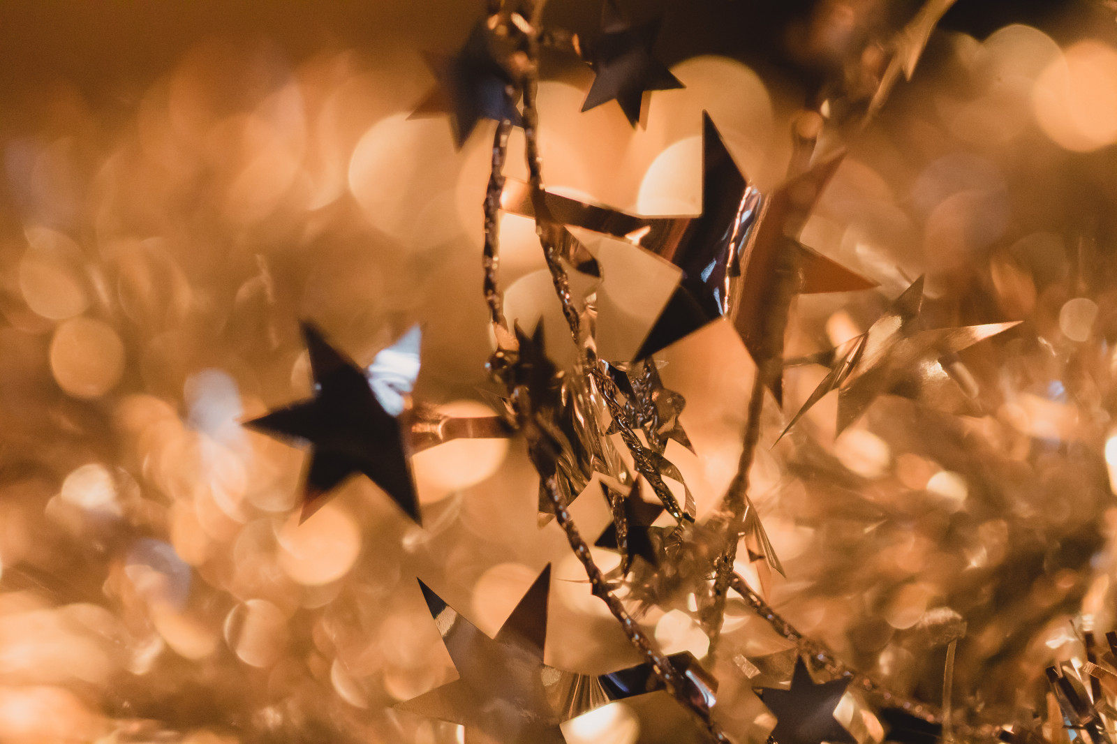 luce del sole, ramo, primavera, leggero, albero, autunno, foglia, fiore, stagione, festivo, stella, STJ rna, festlig, avvicinamento, fotografia macro