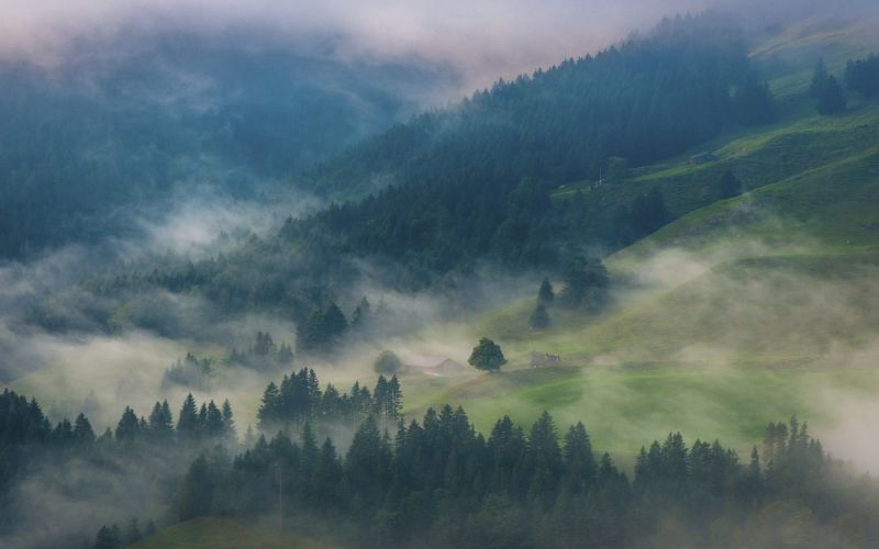 slunečnímu záření, stromy, krajina, les, Příroda, kopec slunečnímu záření, stromy, krajina, les, Příroda, kopec
