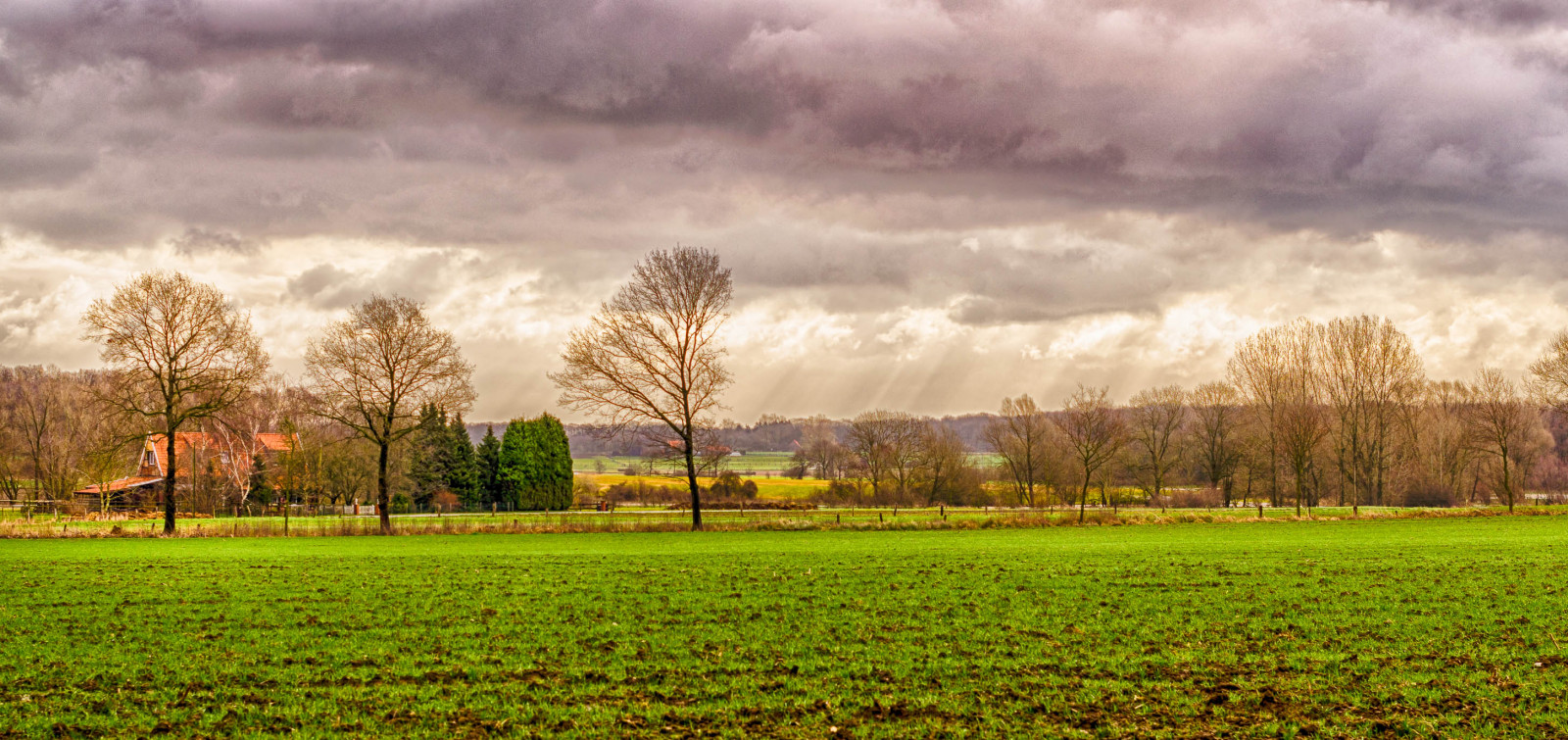 sollys, landskab, natur, græs, himmel, Mark, grøn, morgen, Tyskland, HDR, horisont, 2015, tone mapping, Sky, træ, efterår, blad, Landschaft, blomst, græsarealer, plante, græs, landbrug, eng, almindeligt, NRW, græsplæne, prærie, nikond5100, landdistrikt, levested, naturligt miljø, atmosfærisk fænomen, græs familie, lightroom5, s dkirchen, funneweg, Ausschnitt, nikonf1450mm, Ondrup, hdrefexpro2, sturmtiefniklas