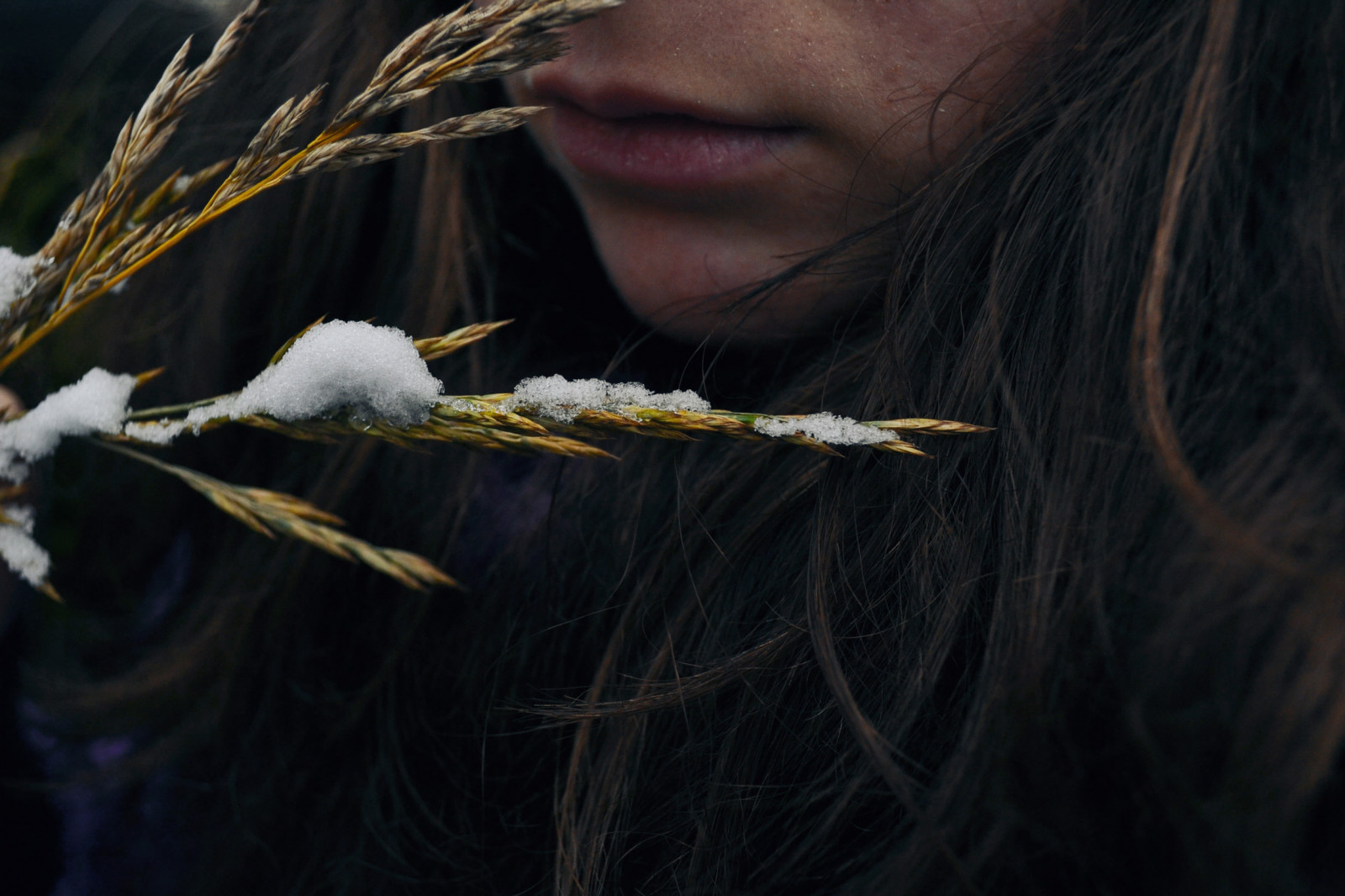 คน, อิตาลี, ธรรมชาติ, หิมะ, ฤดูหนาว, การถ่ายภาพ, สาขา, สีเหลือง, หนาว, ฤดูกาล, ช่างภาพ, ริมฝีปาก, ผม, Nikon, ปาก, ผิวหนัง, ภูเขา, หนาวเย็น, ป่า, หญิงสาว, วิญญาณ, ความเงียบ, ขน, รายละเอียด, หนาว, ความมืด, ลมหายใจ, เข้าไปในป่า, กิ่งไม้, ใกล้ชิด, stock photography