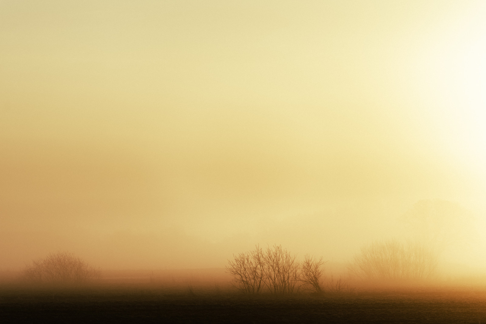 slunečnímu záření, krajina, západ slunce, pole, svítání, ráno, mlha, horizont, atmosféra, Švédsko, soumrak, opar, Sverige, mlha, počasí, svítání, lučina, venkovní, se, VSCO, prostý, nikond750, prérie, atmosférický jev, červená obloha v dopoledních hodinách, uppsala, uppsalal n, afsnikkor7020028vrii
