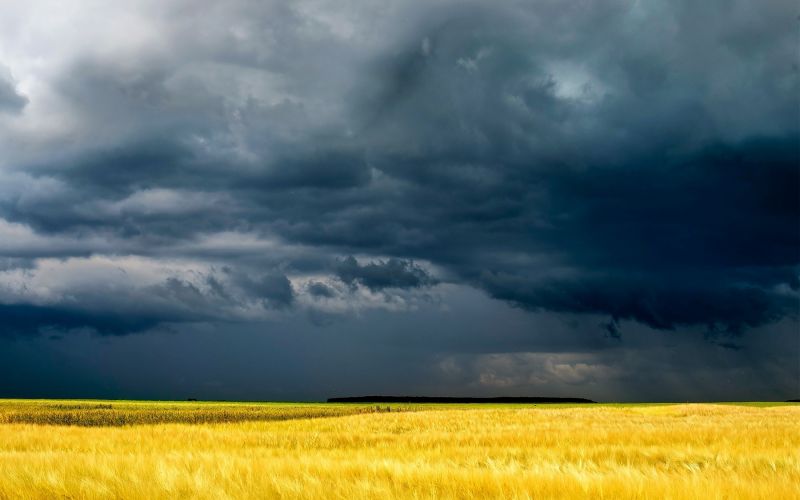 nature, sky, field, sunlight, landscape, food nature, sky, field, sunlight, landscape, food