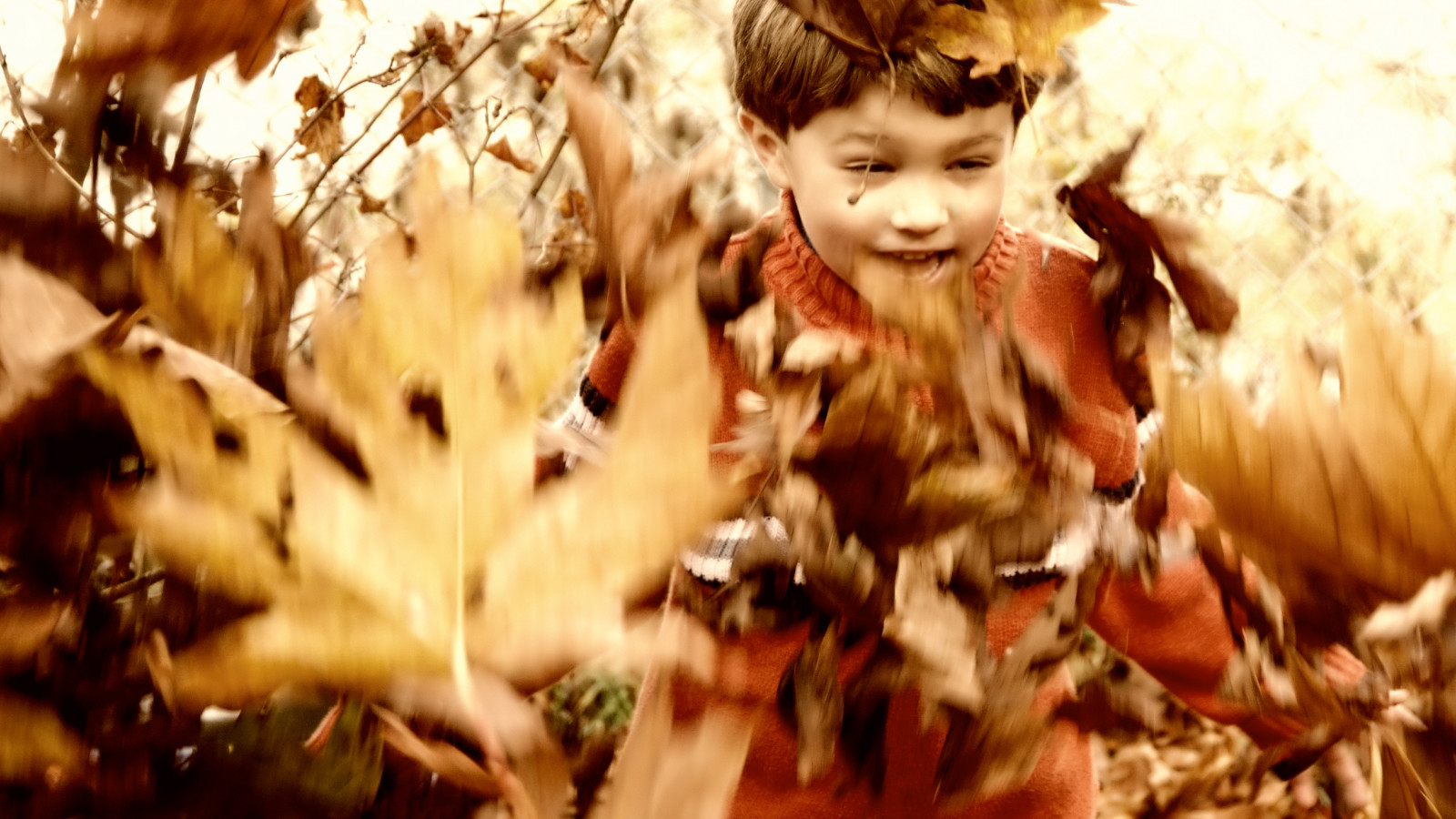 slunečnímu záření, barvitý, podzim, listy, děti, fotografování, žlutý, hnědý, oranžový, Radost, smějící se, štěstí, jaro, jasný, mytologie, hrací, hrát si, barva, strom, podzim, chlapec, dítě, javor, květ, venkovní, krása, sezóna, barva, emoce, zblízka