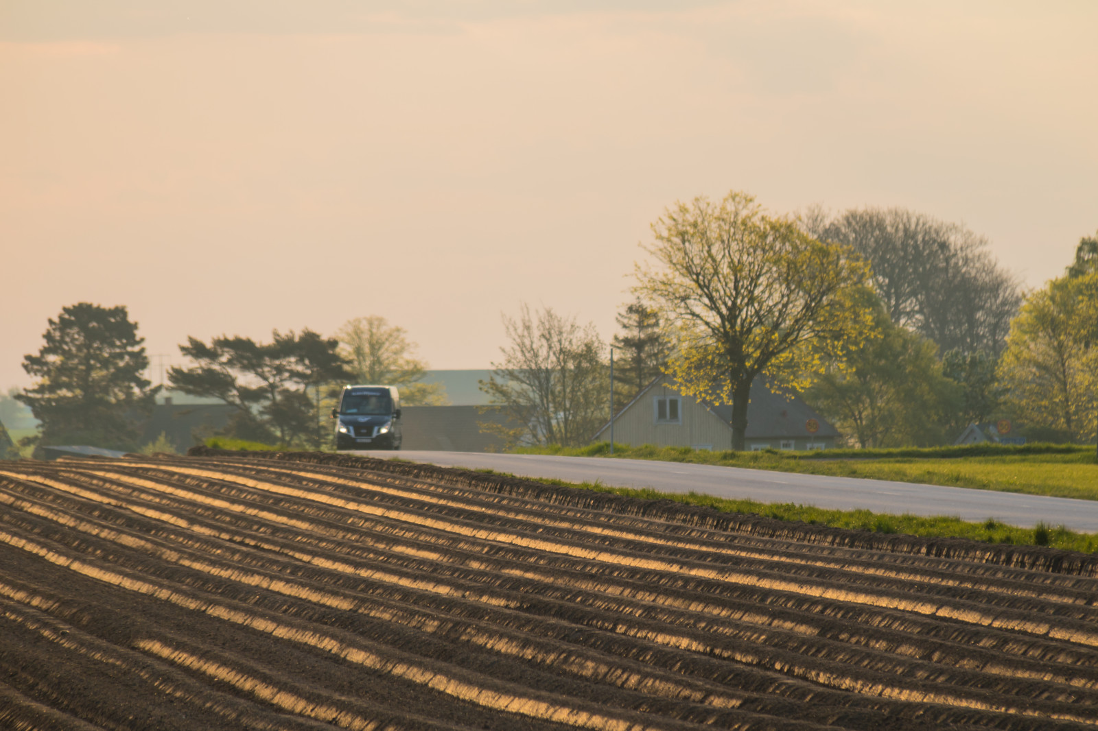 Sonnenlicht, Landschaft, Sonnenuntergang, Hügel, Natur, Gras, Himmel, Feld, Straße, Abend, Morgen, Bauernhof, Horizont, Autobahn, Transport, Wolke, Baum, Herbst, Landschaft, Landschaftlich, V g, S dersl tt, Landkap, Morgon, Gisl v, Spur, Landwirtschaft, Ebene, Prärie, Boden, ländliches Gebiet, Atmosphärisches Phänomen, Grasfamilie