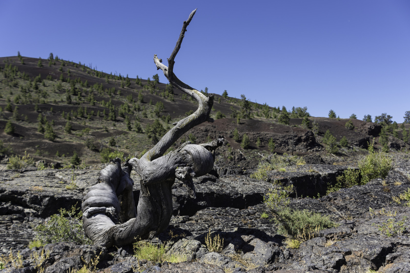 paesaggio, roccia, vulcano, lava, natura selvaggia, Idaho, albero, montagna, geocountry, Geocity, geostate, geolocalizzazione, exif ISOSPEED 100, exif focalLength 28 millimetri, exif apertura 40, avventura, geologia, pianta legnosa, exif fare nikoncorporation, Marca fotocamera nikoncorporation, cratersofthemoon, Lente exif 1803000mmf3563, modello nikond7200 exif, geo lat 43445255555555, modello di fotocamera nikond7200, geo lon 11355579722222