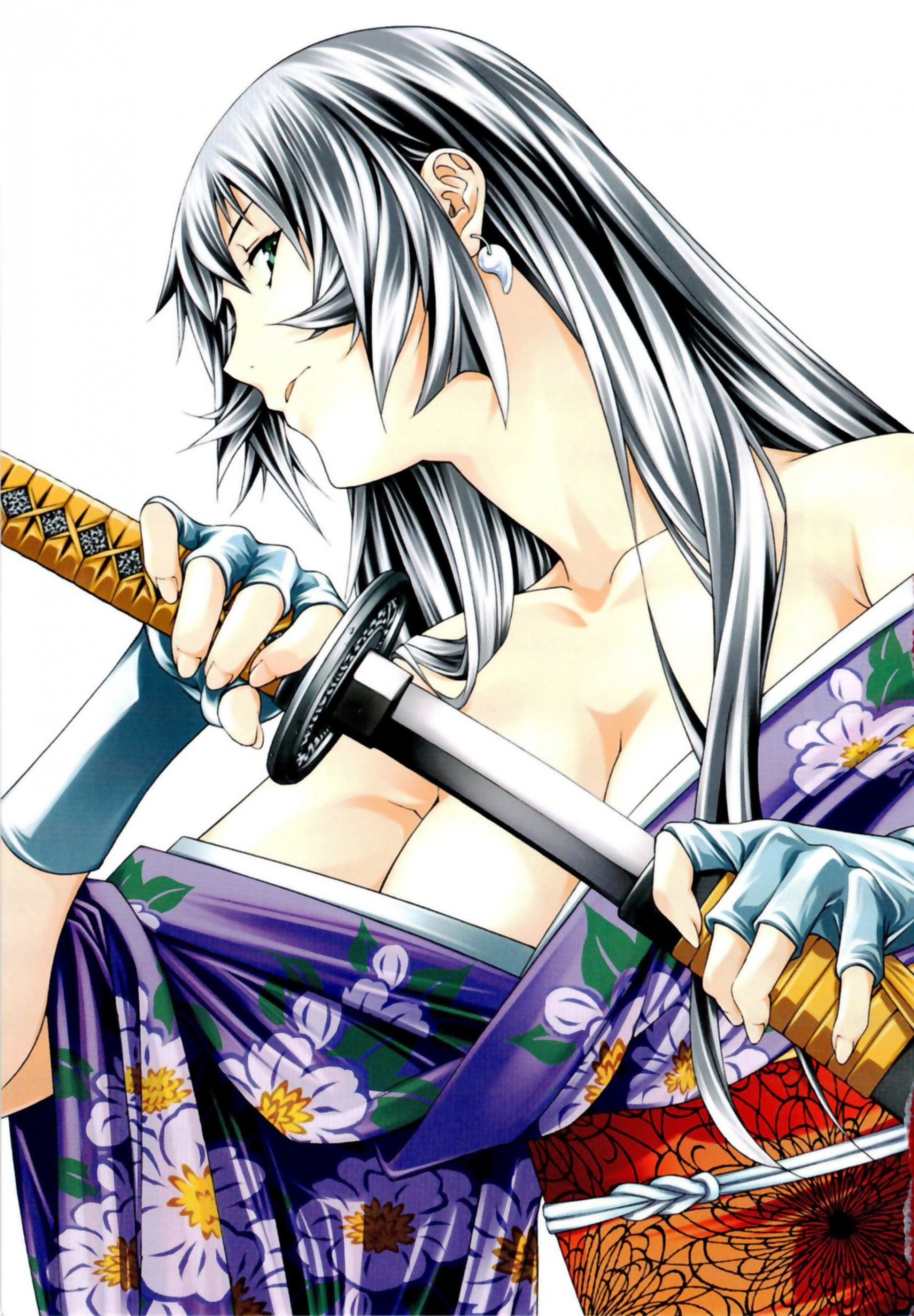 ilustrace, anime, kreslená pohádka, Ikkitousen, mangaka, comics umělec, komiks