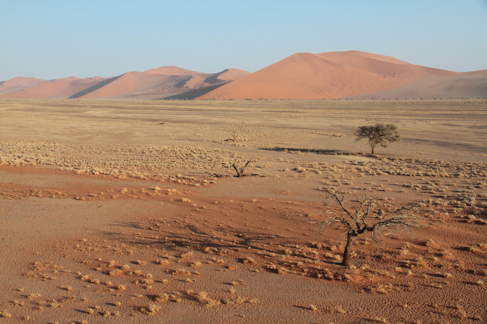 Afrika, parkere, sand, ørken, klit, 45, arena, national, areal, Desierto, Duna, Namibia, namib, namibnaukluft, duna45
