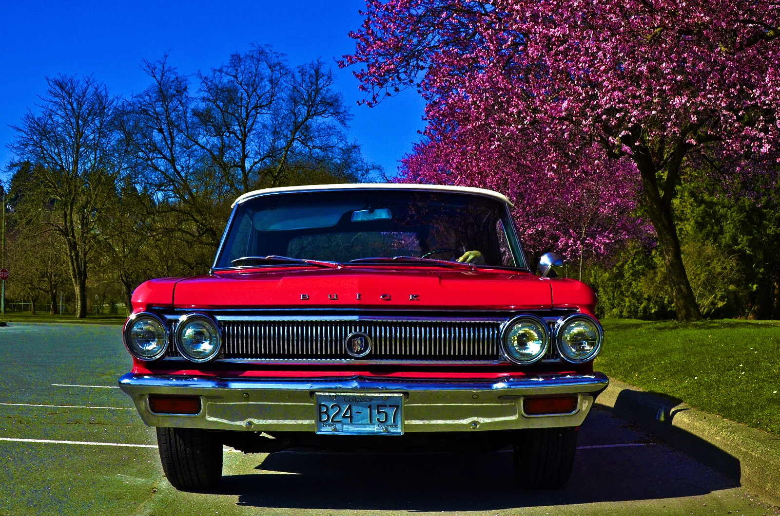Wallpaper Buick Vintage Pink Classic Car Vancouver Bc