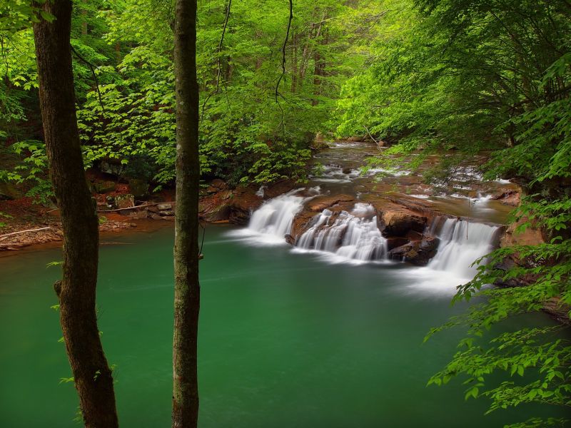 пейзаж, лес, водопад, воды, природа, Река пейзаж, лес, водопад, воды, природа, Река