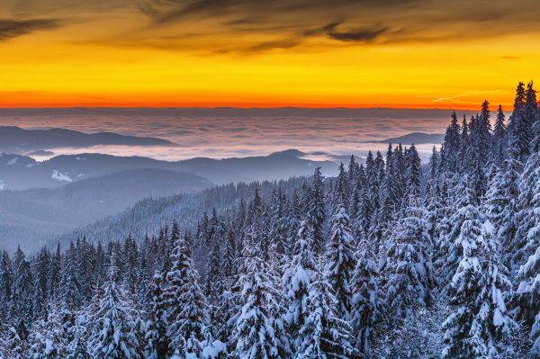 sky,cloud,atmosphere,snow,ecoregion,light