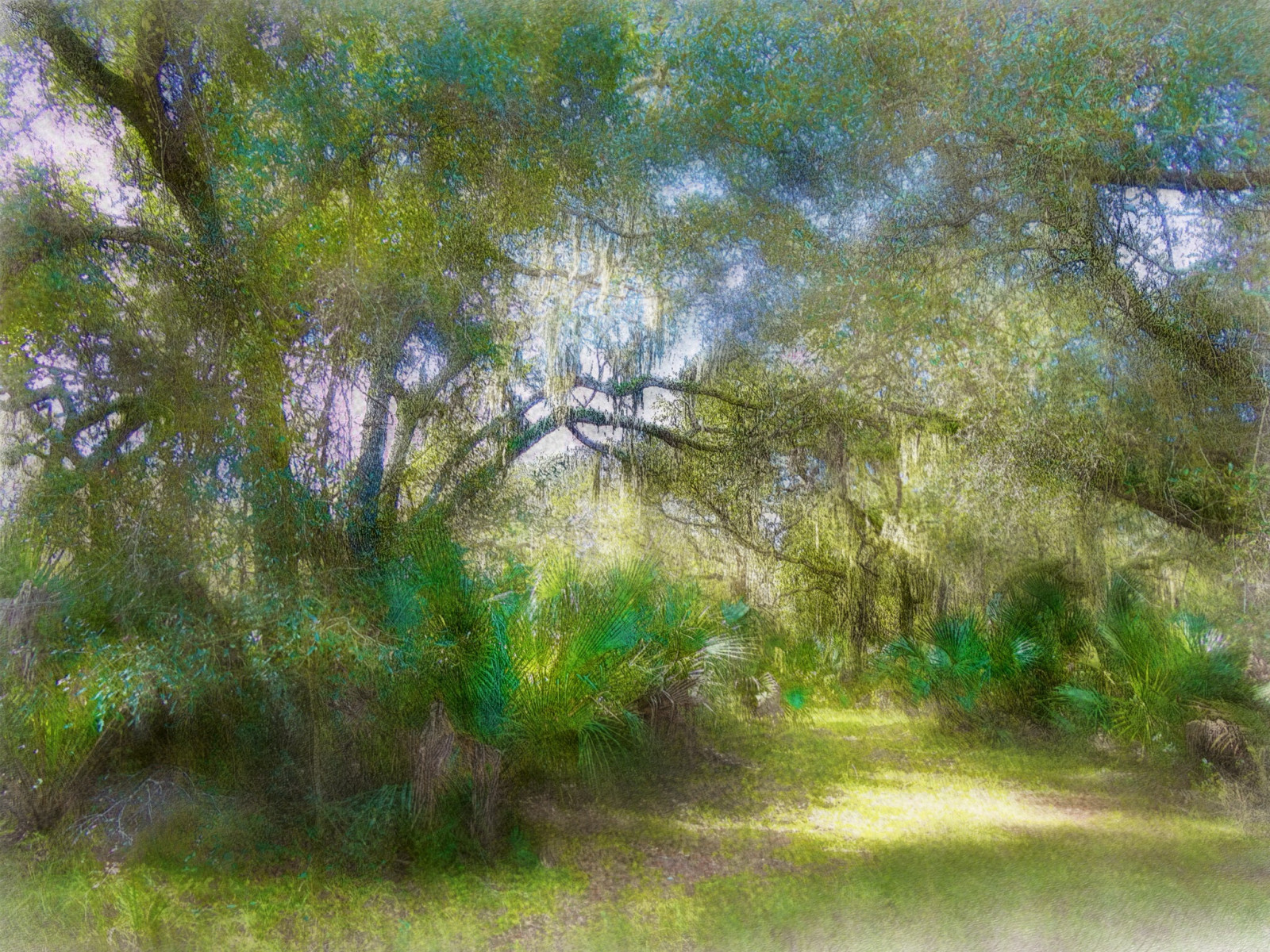 slunečnímu záření, krajina, malování, les, tráva, zima, větev, turistika, přírodní rezervace, mokřadní, světlo, strom, rostlina, impresionismus, vegetace, louka, photomanipulation, malířské, zálesí, prérie, háj, dřevina, ekosystém, biome, keř, tráva rodina, akvarel barvy, křoviny, impresionista, ekoregion, digitalphotoart, ipadpainting, ipadsketching, painterlyapp, plant community