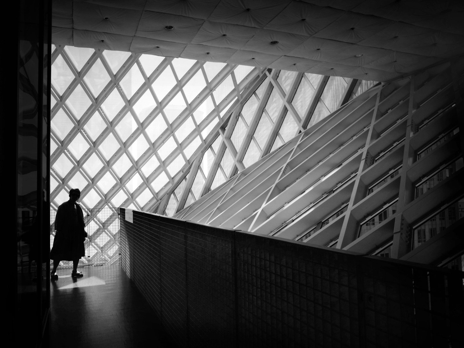Seattle, bw, Stati Uniti d'America, silhouette, architettura, nero bianco, biblioteca, Ricoh, noirblanc, grdiv