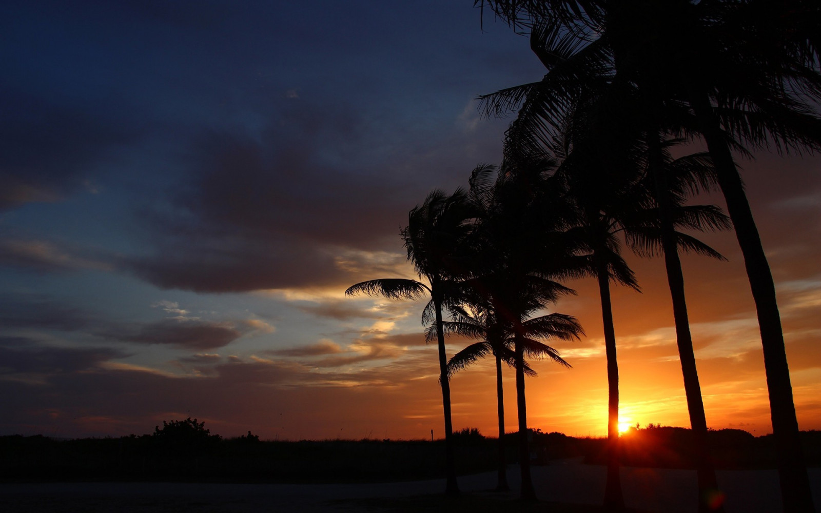 Sonnenlicht, Sonnenuntergang, Himmel, Strand, Sonnenaufgang, Abend, Morgen, Sonne, Horizont, Atmosphäre, Dämmerung, Wolke, Baum, Dämmerung, Dunkelheit, 1920x1200 px, Nachglühen, Roter himmel am morgen, Arecales