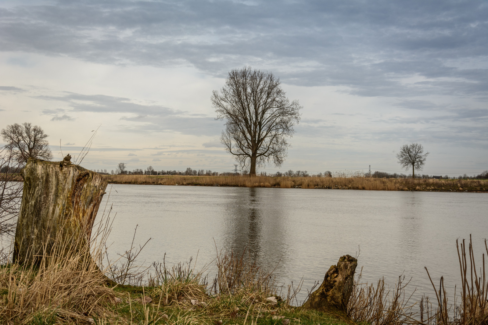 stromy, krajina, jezero, voda, Příroda, odraz, tráva, nebe, pole, větev, uklidnit, řeka, Nizozemí, břeh řeky, banka, bažina, mokřadní, mrak, strom, rostlina, řek, odrazy, pahýl, nl, břeh řeky, nádrž, nederland, bayou, polder, natuur, prérie, Bomen, bažina, jezero, venkov, tráva rodina, bažina, reflectyourworld, lužní, bažina, nederlandvandaag, Maas, Nbrabant, Ravenstein