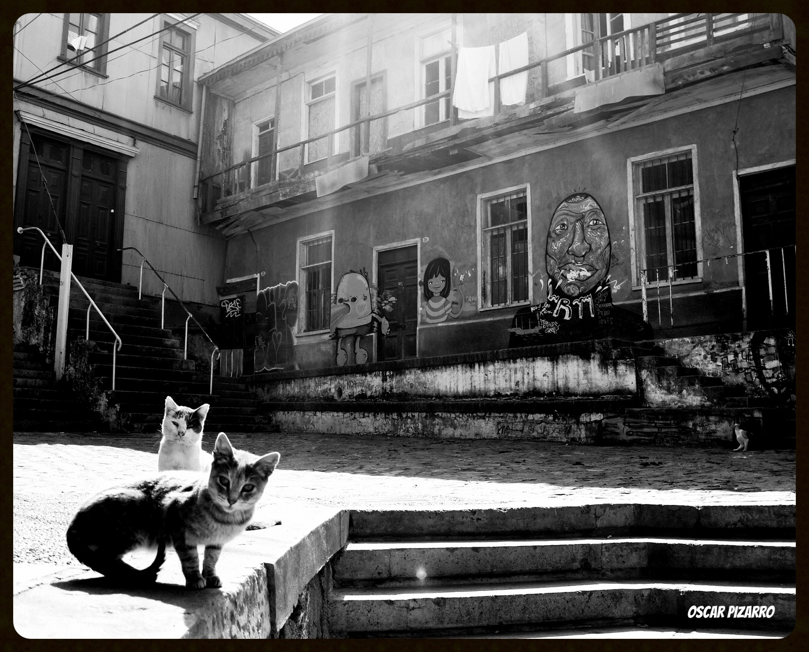 La Casa In Fondo A Needless Street