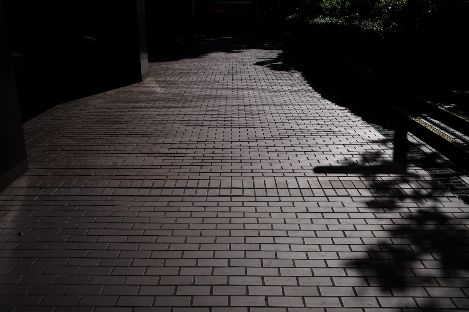 Japonsko, bílý, Černá, černobílý, dlažební kamen, stín, silnice, Leica, Tokio, asfalt, M, světlo, tvar, patro, podlaha, dno, čára, tma, Summicron, summicron235, 235, leicam, typ240, chodník, pruh, Černý a bílý, monochromatické fotografování, outdoor struktura, podlaha, povrch vozovky