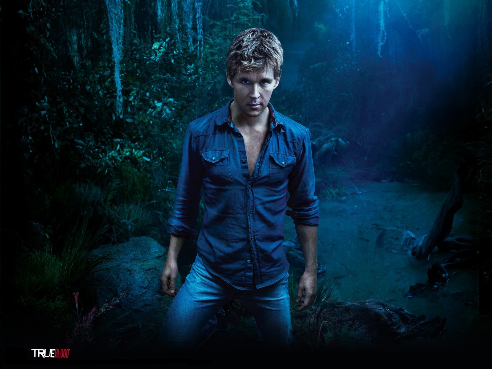 půlnoc, Pravá krev, tma, Snímek obrazovky, počítač tapeta, zvláštní efekty