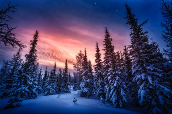 cloud,sky,plant,atmosphere,snow,daytime